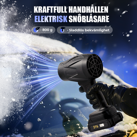 🔥2025 Bästsäljare⌛Multifunktionell handhållen blåsmaskin -1050W(💥60 % rabatt)