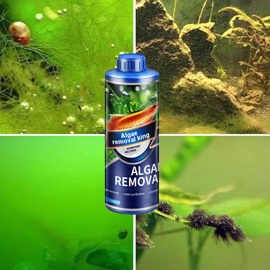 【Algae King】Crazy Aquatic Weed Algae Remover