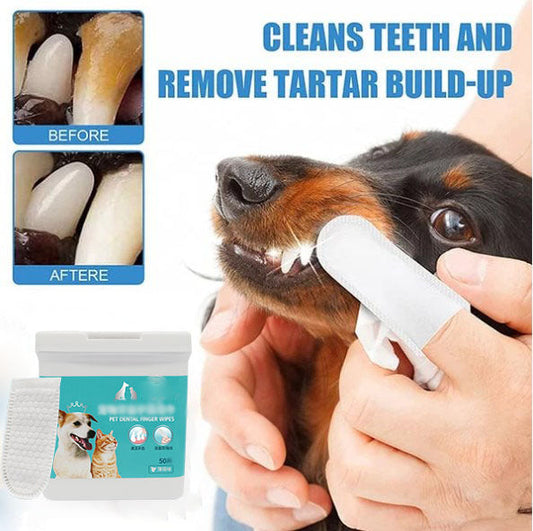 ❄️Sommarfräscht 50% rabatt!🦷 Fingervåtservetter för tandrengöring hos hundar och katter – Milda tandvårdsservetter för fräschare andedräkt