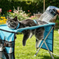 ⏳ Tidsbegränsad kampanj – 50 % rabatt! ⏰ 2‑i‑1 vikbar skötselbädd för husdjur 🐱🐶🛋️