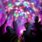 💥NY PRODUKT❗FÄRGGLAD ROTERANDE GLÖDLAMPA DISCO™️ 🕺💃